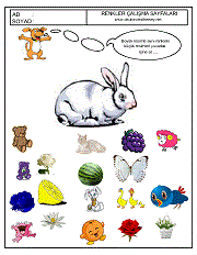 okul öncesi renkler çalışma sayfaları; verilen resimle aynı renkte olan resimleri işaretle